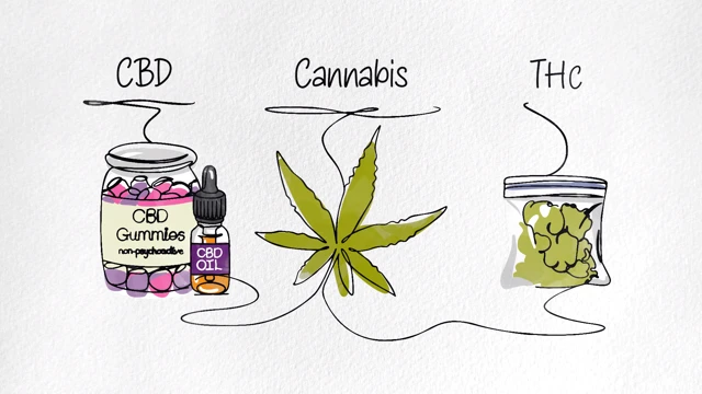 A professional offers support in a safe, comfortable space to talk about drug or alcohol use