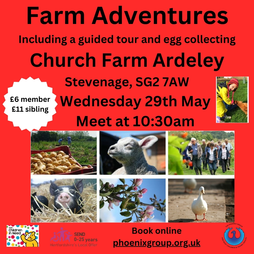 Farm adventures flyer