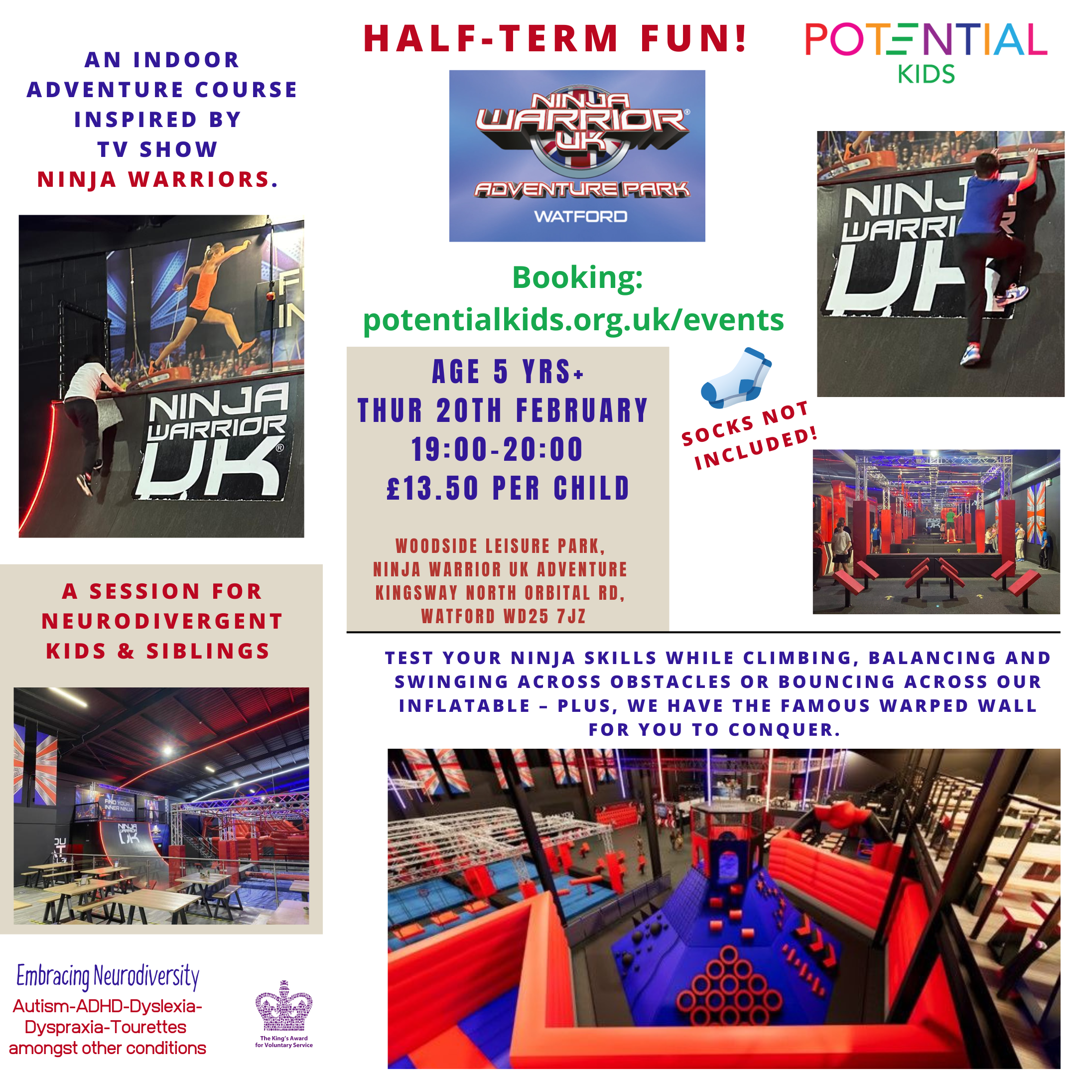 Ninja warrior flyer