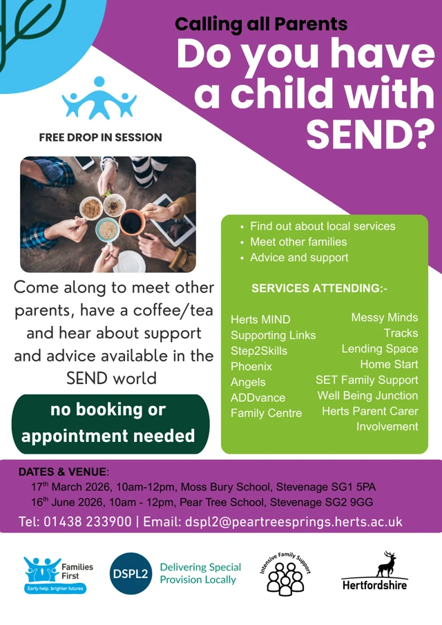 flyer for SEND drop in 
