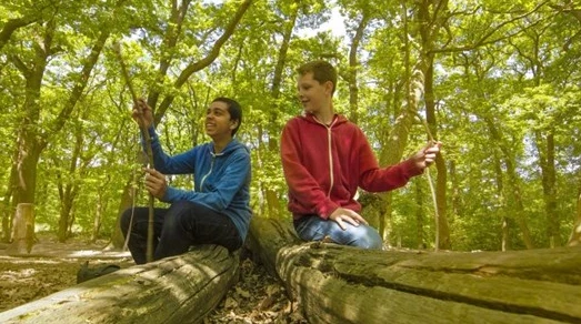 2 boys in woods sitting on logs