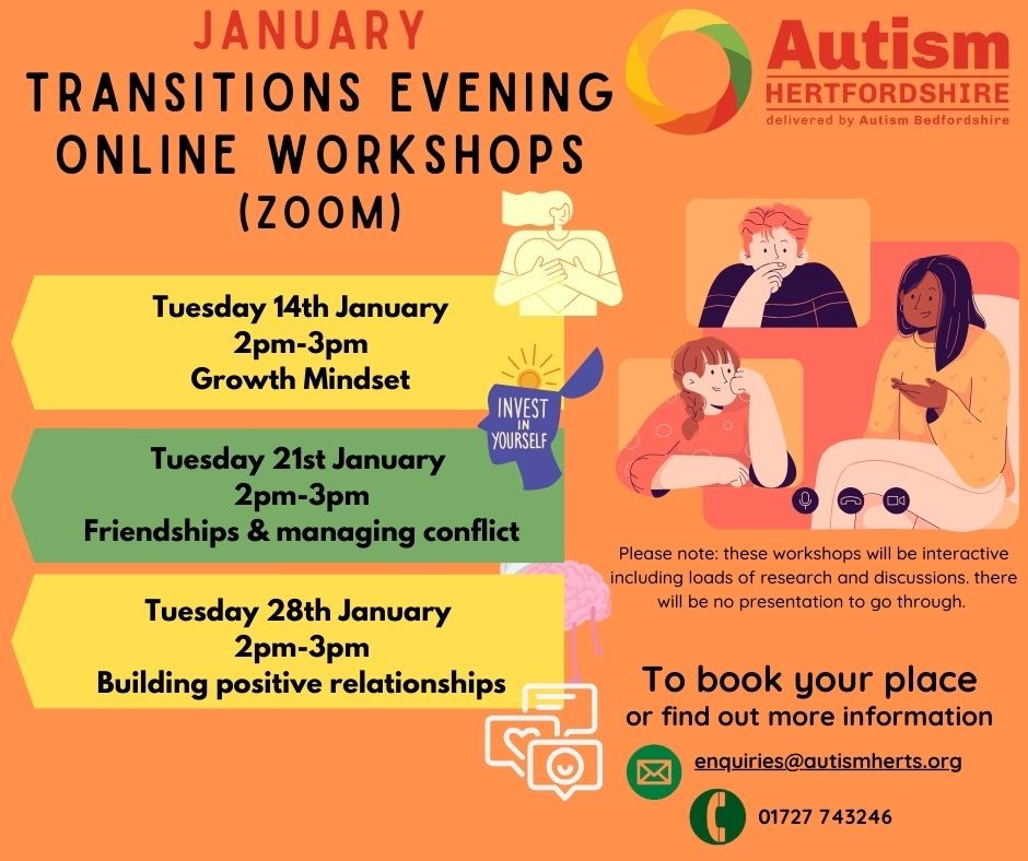 flyer for online workshops for 'transitions' group