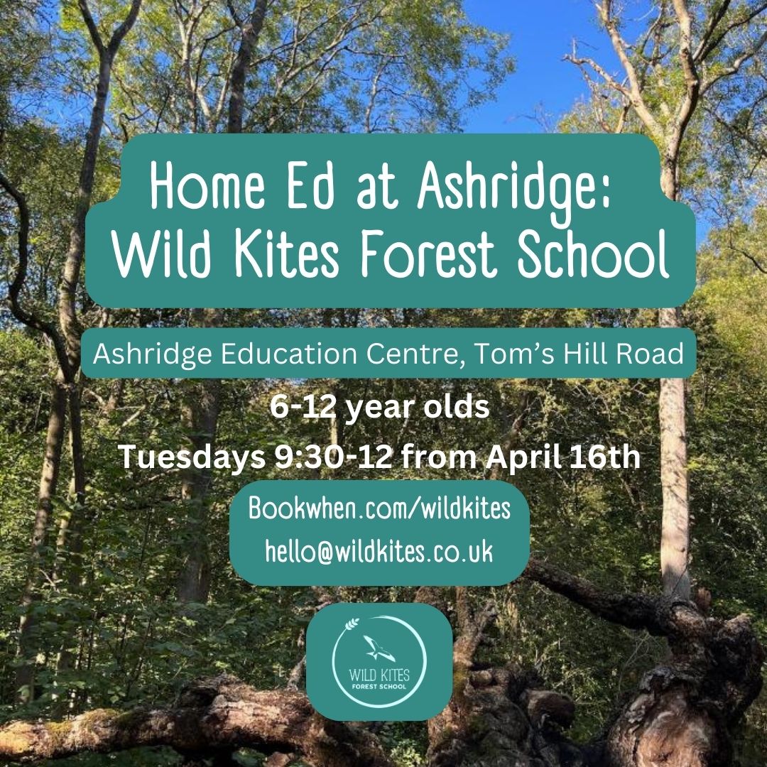 Flyer for Wild Kites Forest School